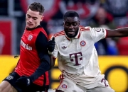 开云下载-勒沃库森大战不败，积分榜上节节攀升的简单介绍