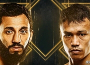 开云平台-泰国羽毛球队完胜韩国羽毛球队，辛杜完成帽子戏法的简单介绍