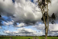 开云体育官方网站-中国羽毛球队逆转马来西亚，辛杜闪耀全场再创奇迹