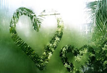 开云体育-英格兰羽毛球队爆冷战胜印尼，陶菲克再创奇迹的背后