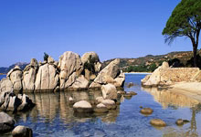 开云体育登录-韩国乒乓球队逆袭德意争锋，樊振东“三分雨”点燃全场的激情之夜