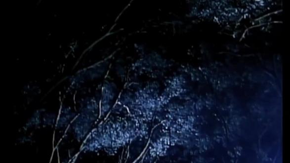 千钧一发之际，冠军终将出现！的简单介绍