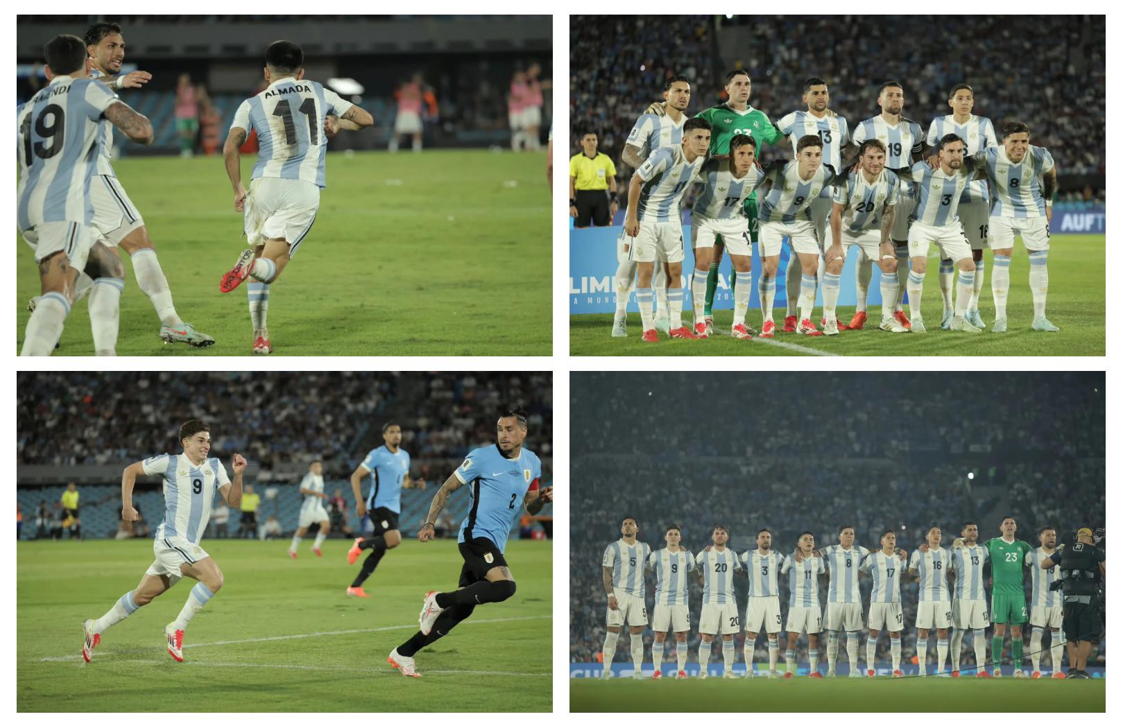 阿根廷男篮逆袭，取得胜利