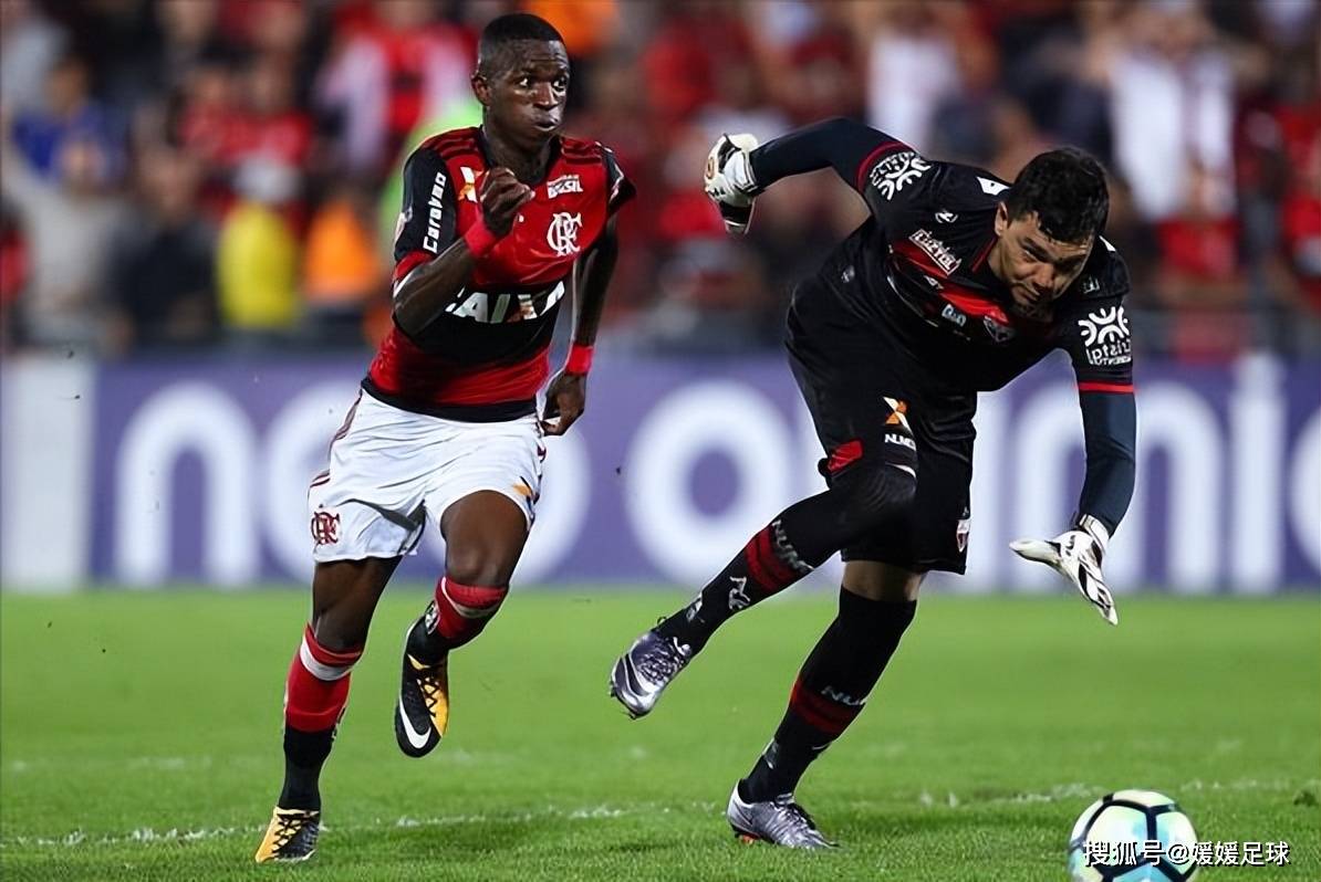 汉堡主场击败柏林联队，稳固保级地位的简单介绍