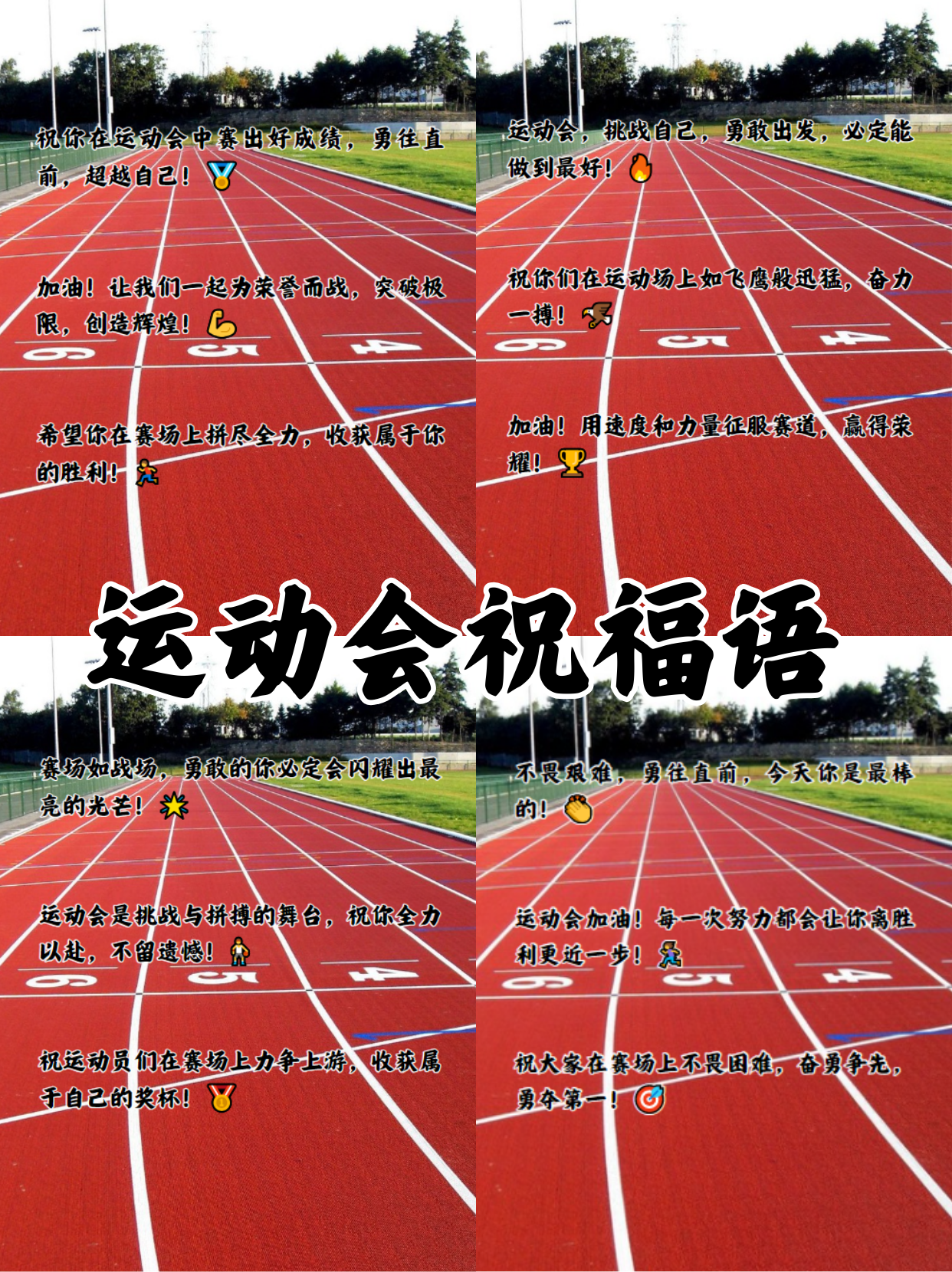 运动精神闪耀赛场，创造新奇迹的简单介绍